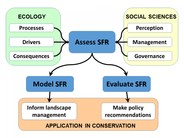 project structure